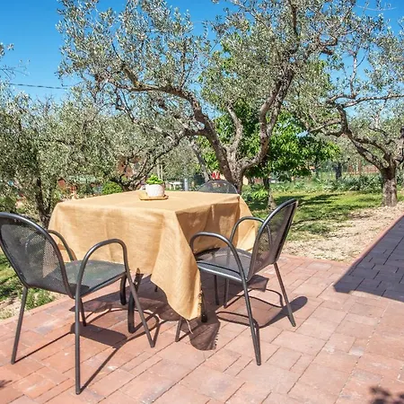 Bed and Breakfast L'Agrifoglio di Assisi Residenza di Campagna Esterno foto