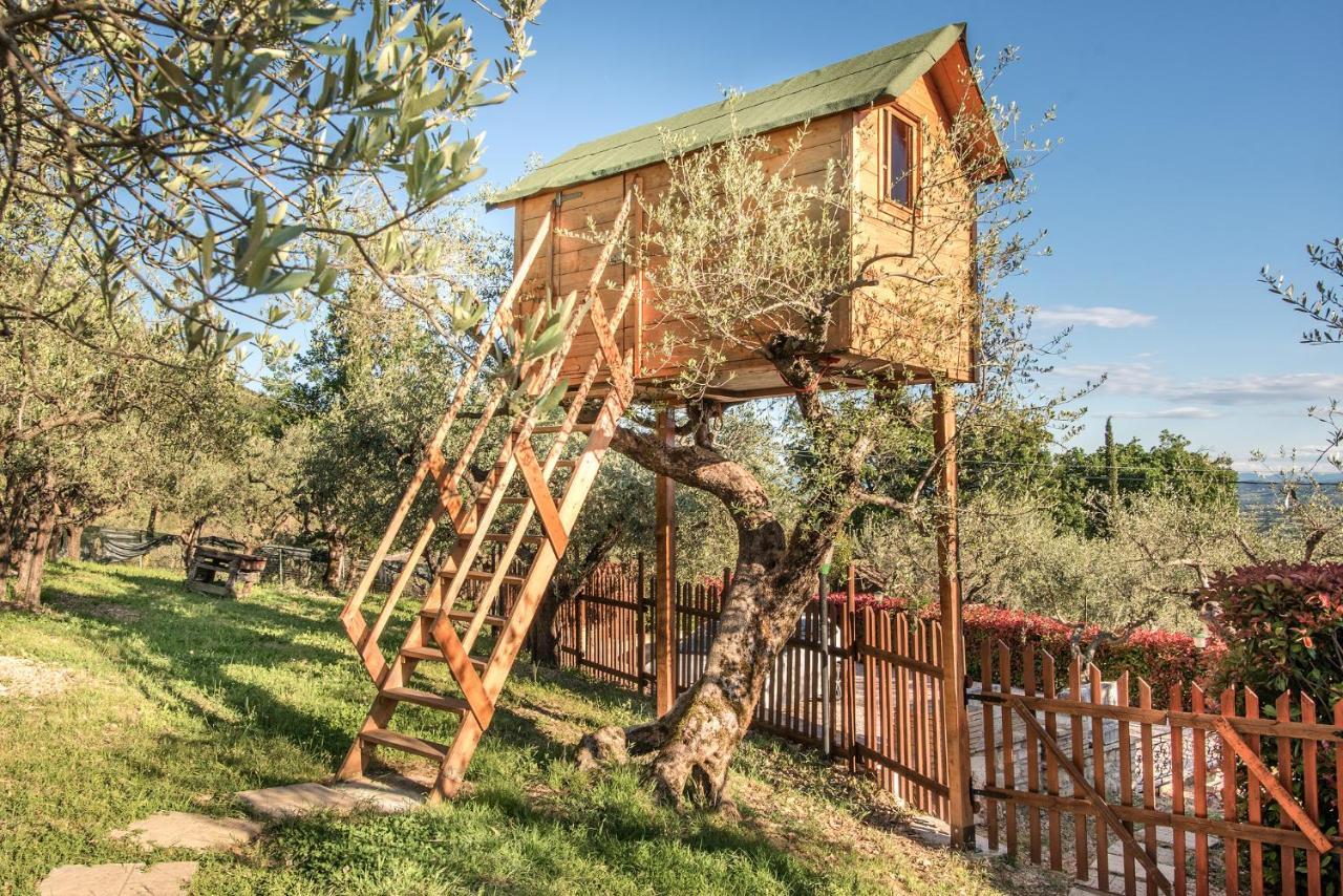 Bed and breakfast L'agrifoglio Di Residenza Di Campagna Asís