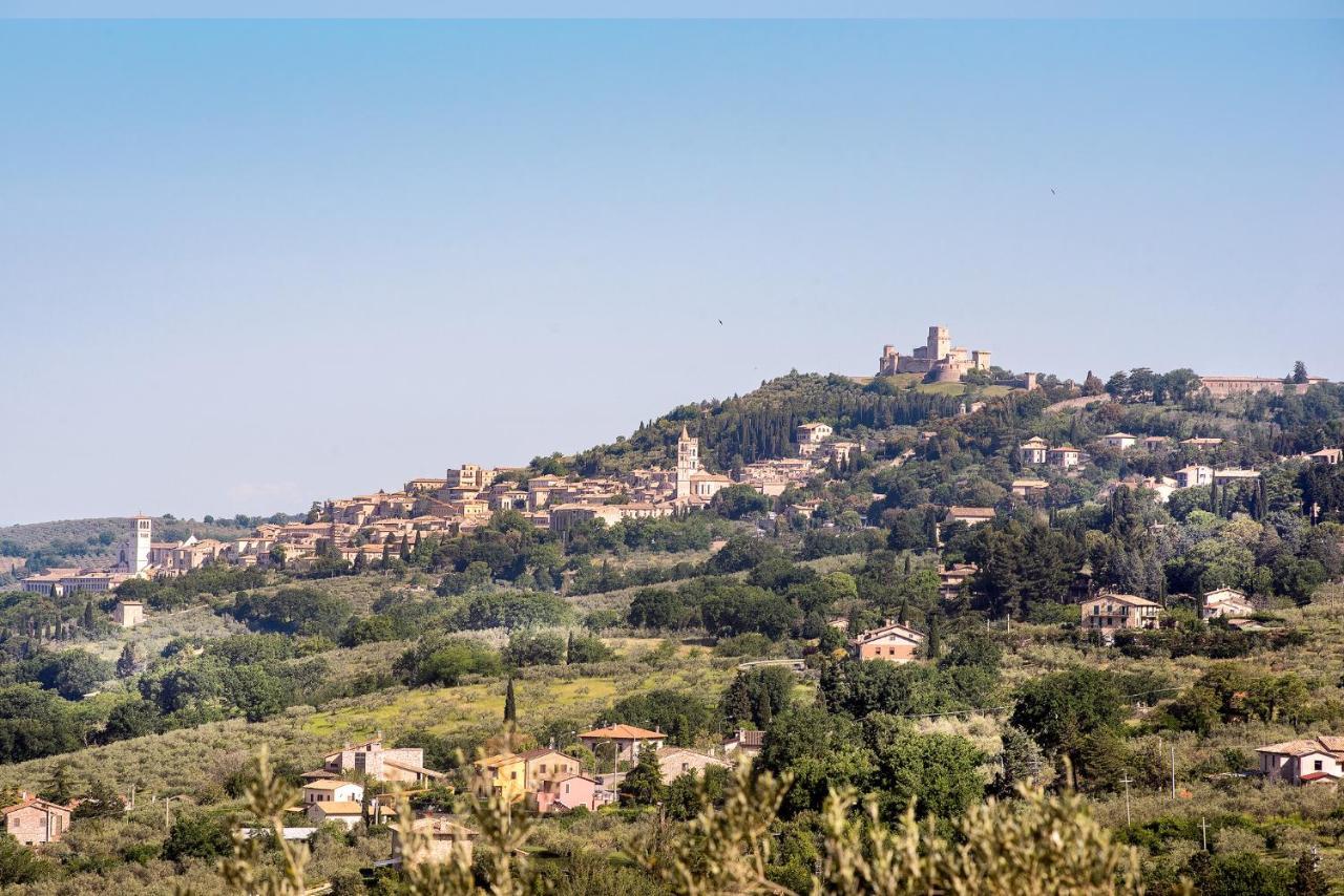 Bed and breakfast L'agrifoglio Di Residenza Di Campagna