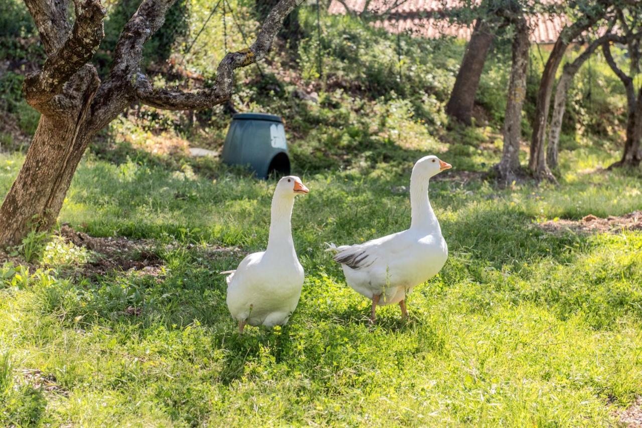 L'agrifoglio Di Residenza Di Campagna Bed & Breakfast 2*