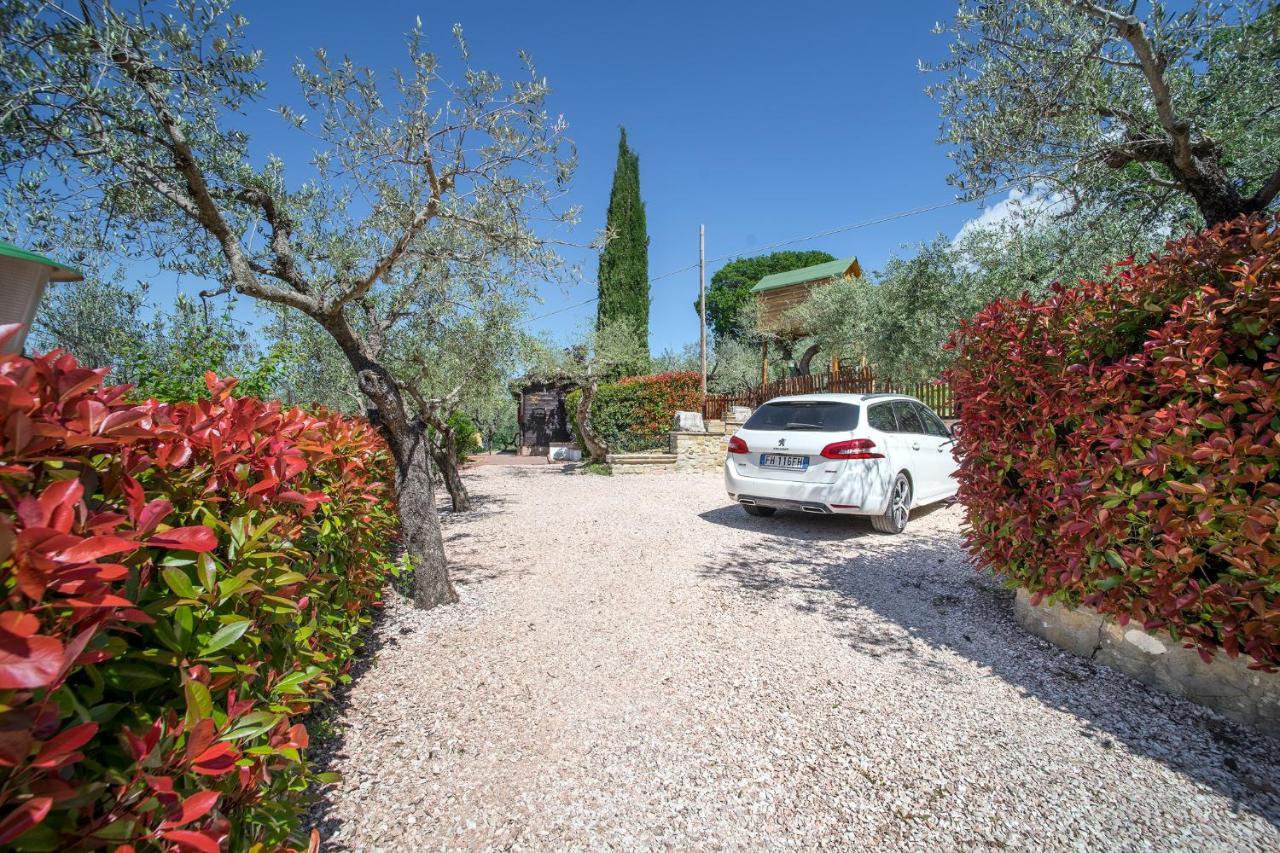 L'agrifoglio Di Residenza Di Campagna 2* Assisi