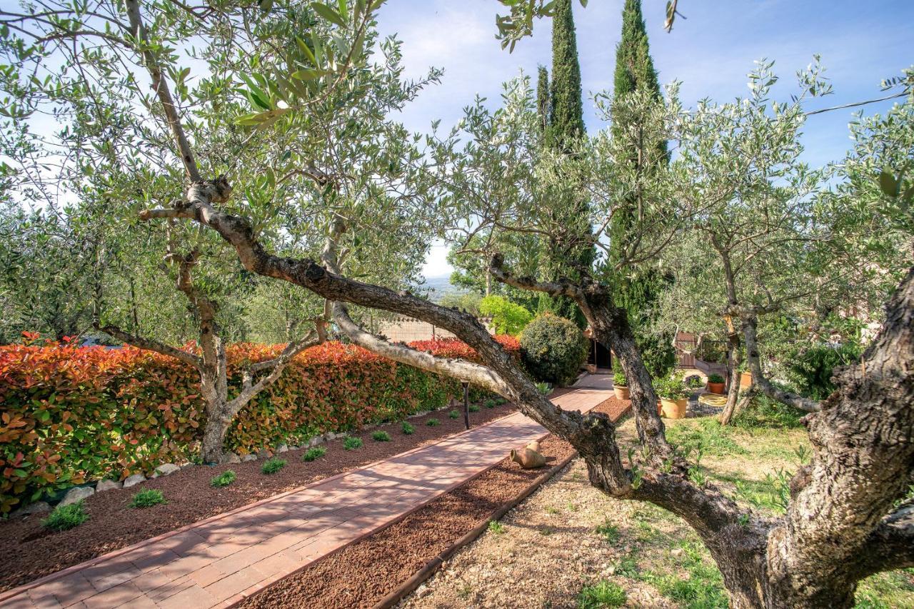 L'agrifoglio Di Residenza Di Campagna Bed & Breakfast 2*