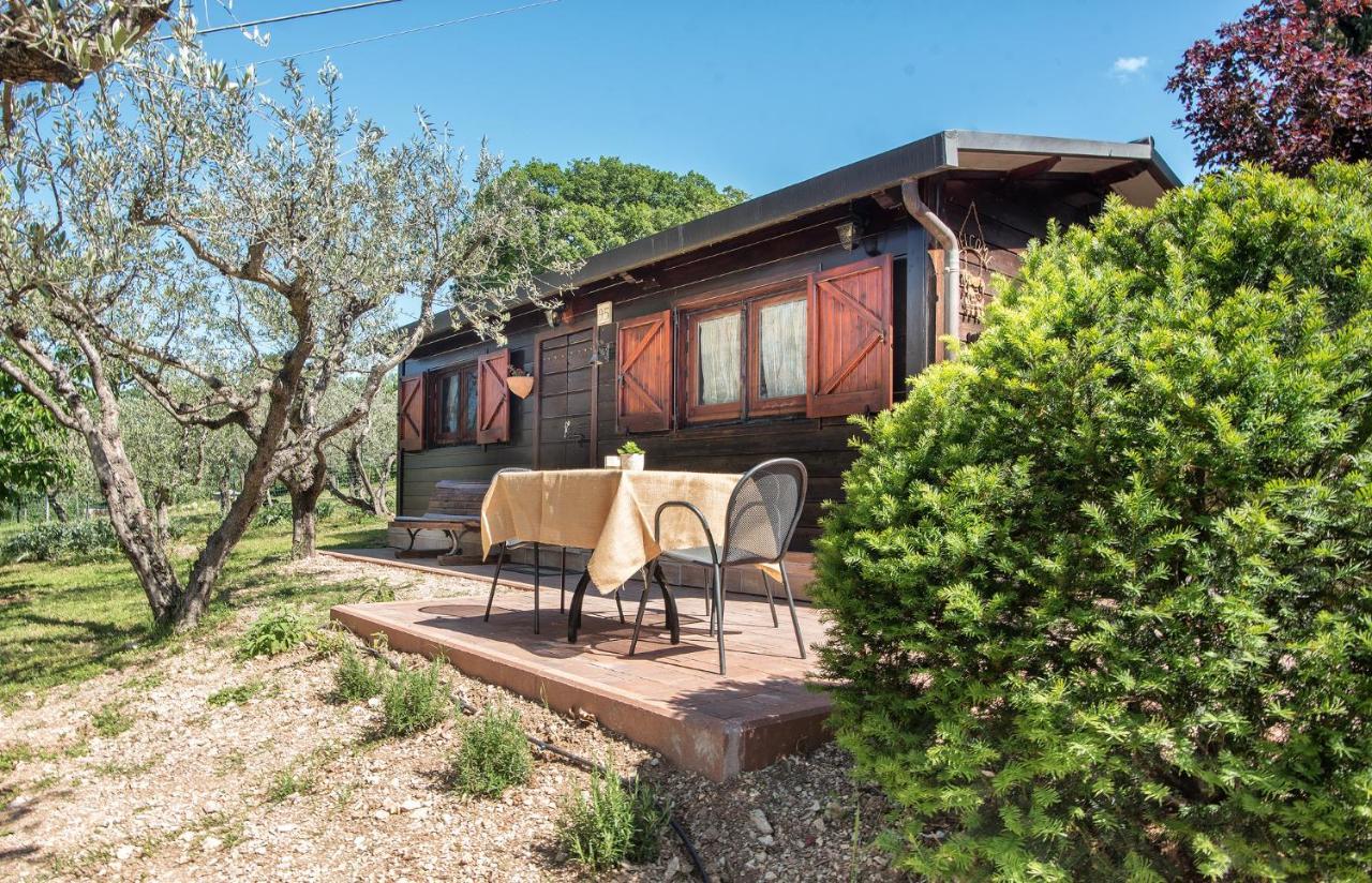 L'agrifoglio Di Residenza Di Campagna Asís